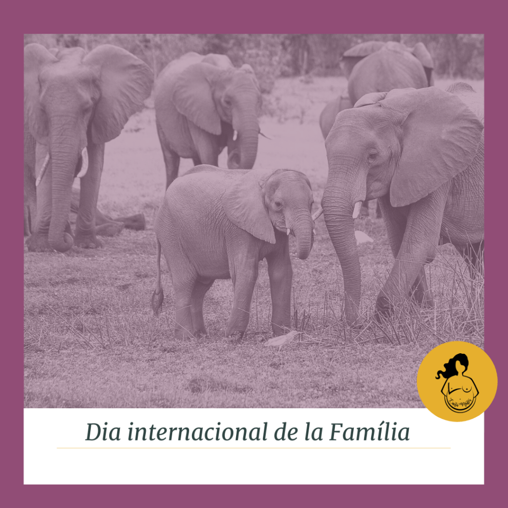 Grup d'elefants. #DiaInternacionaldelaFamilia #Lactamater